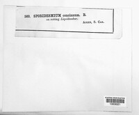 Image Associated With the Occurence